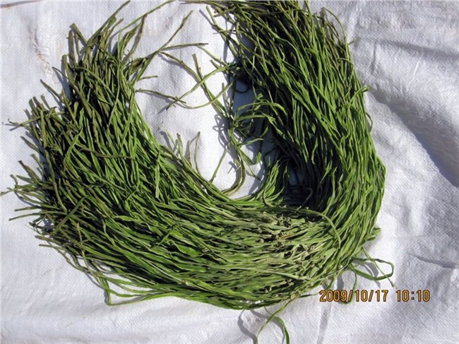 供应邳州特产贡菜 优质苔干